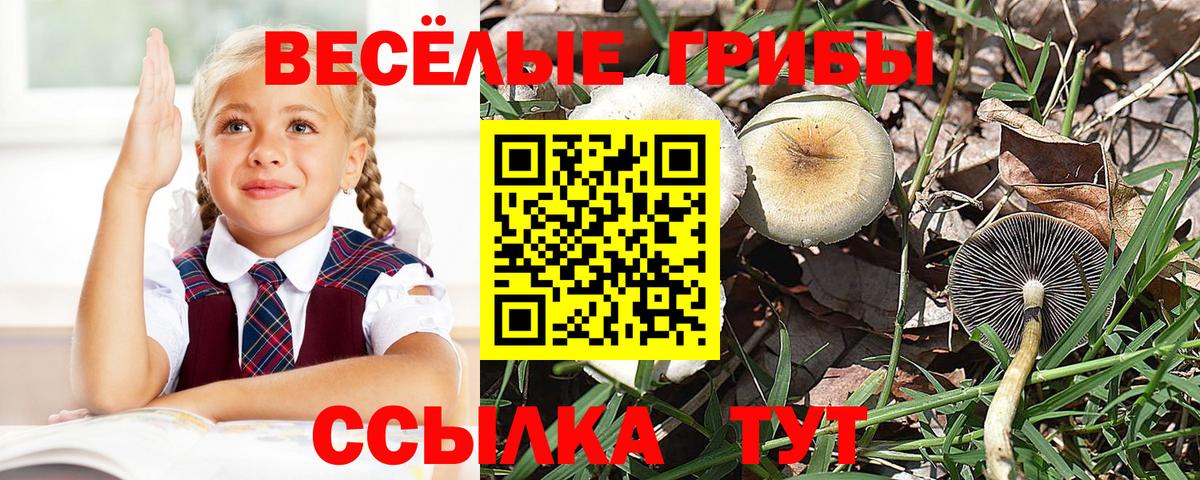 Псилоцибиновые грибы ЛСД Щёлково