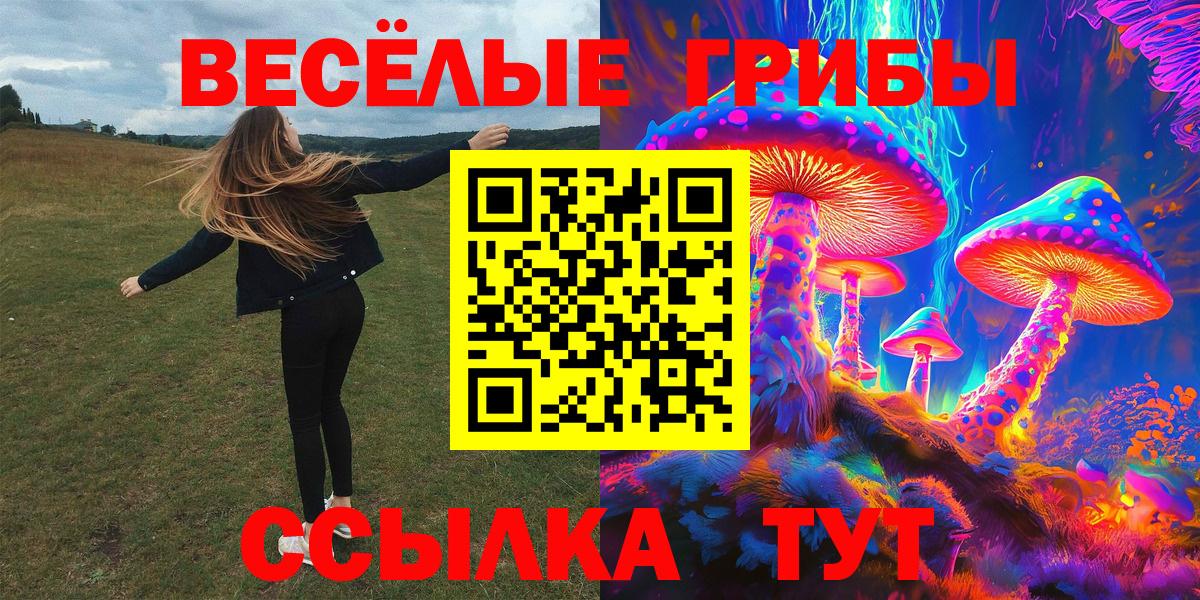 Галлюциногенные грибы мицелий  Вход с VPN  Щёлково  Галлюциногенные грибы Magic Shrooms 